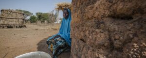 careseed humanitarian